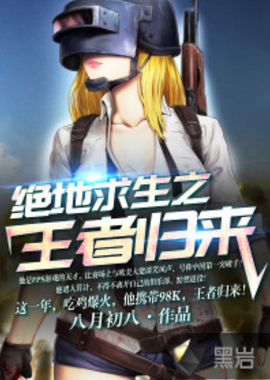 球员个人的 球员个人的