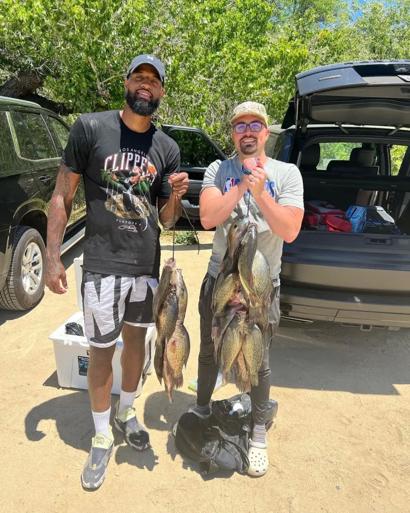 在宣布推迟 在宣布推迟